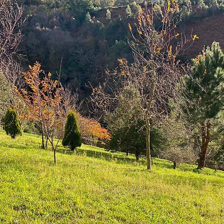 Finca Portizuelo Luarca Exteriör bild