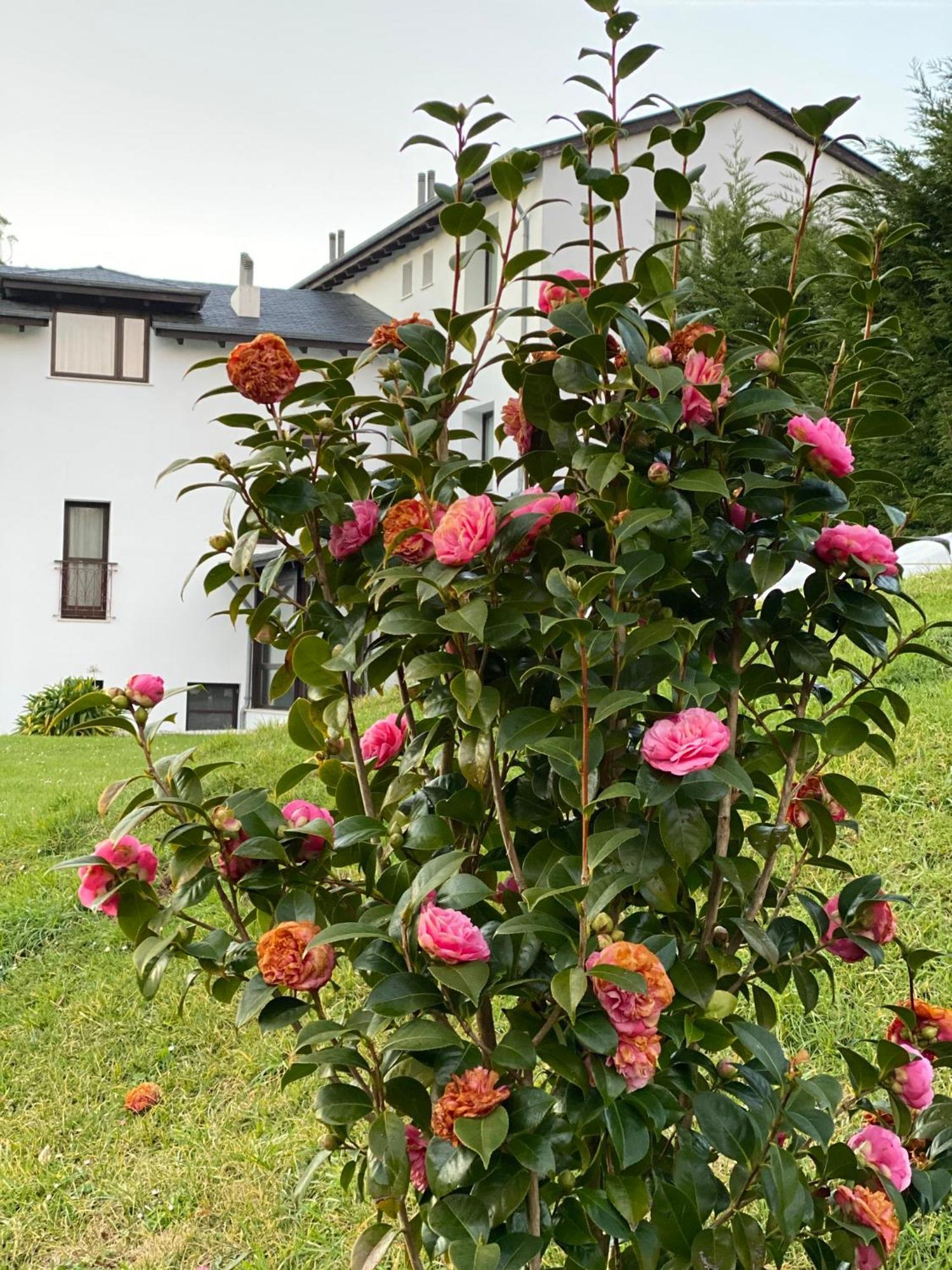 Finca Portizuelo Luarca Exteriör bild