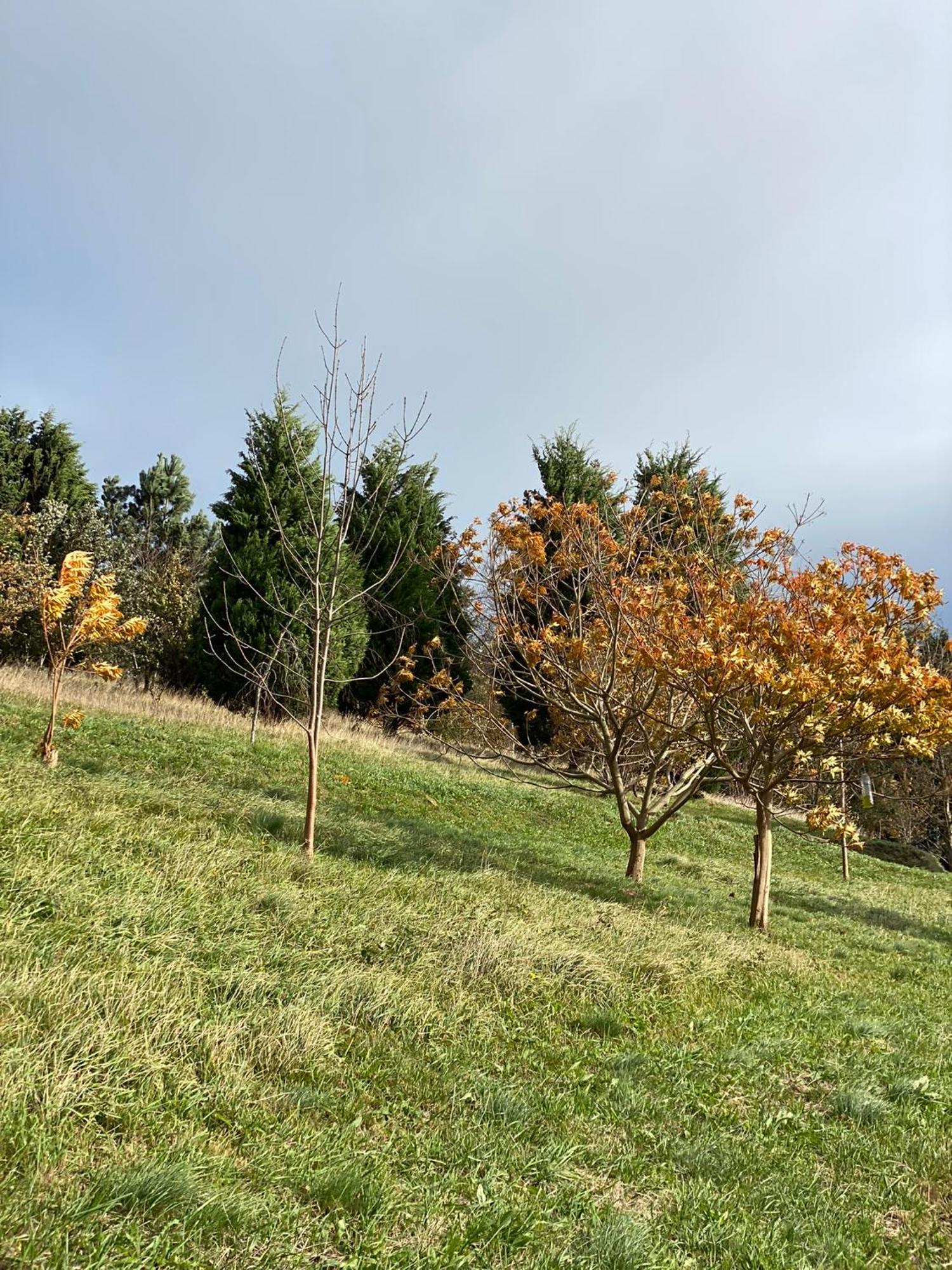 Finca Portizuelo Luarca Exteriör bild