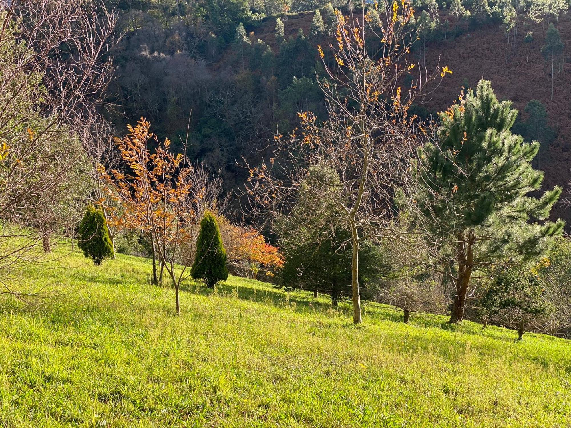 Finca Portizuelo Luarca Exteriör bild