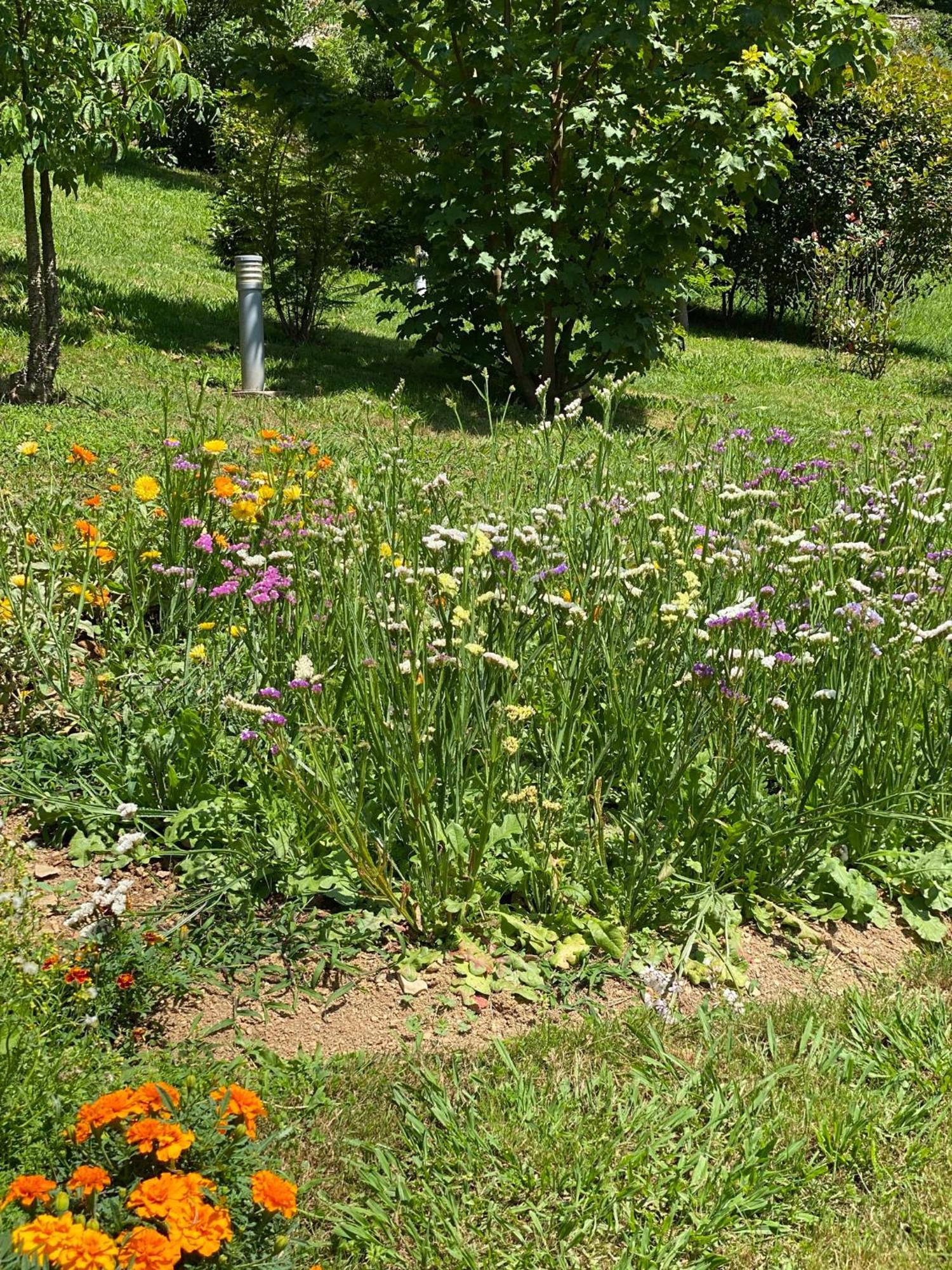Finca Portizuelo Luarca Exteriör bild