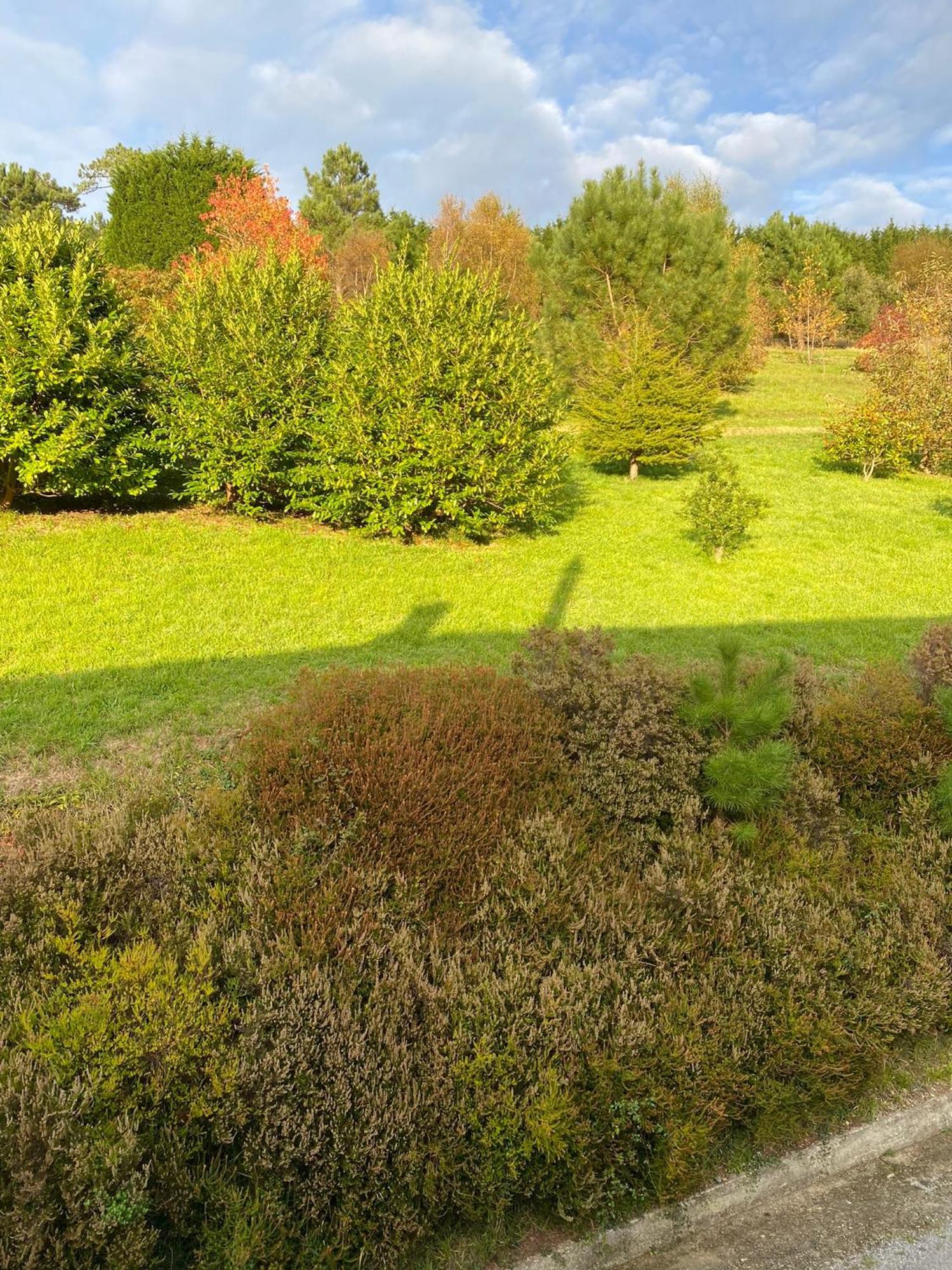 Finca Portizuelo Luarca Exteriör bild