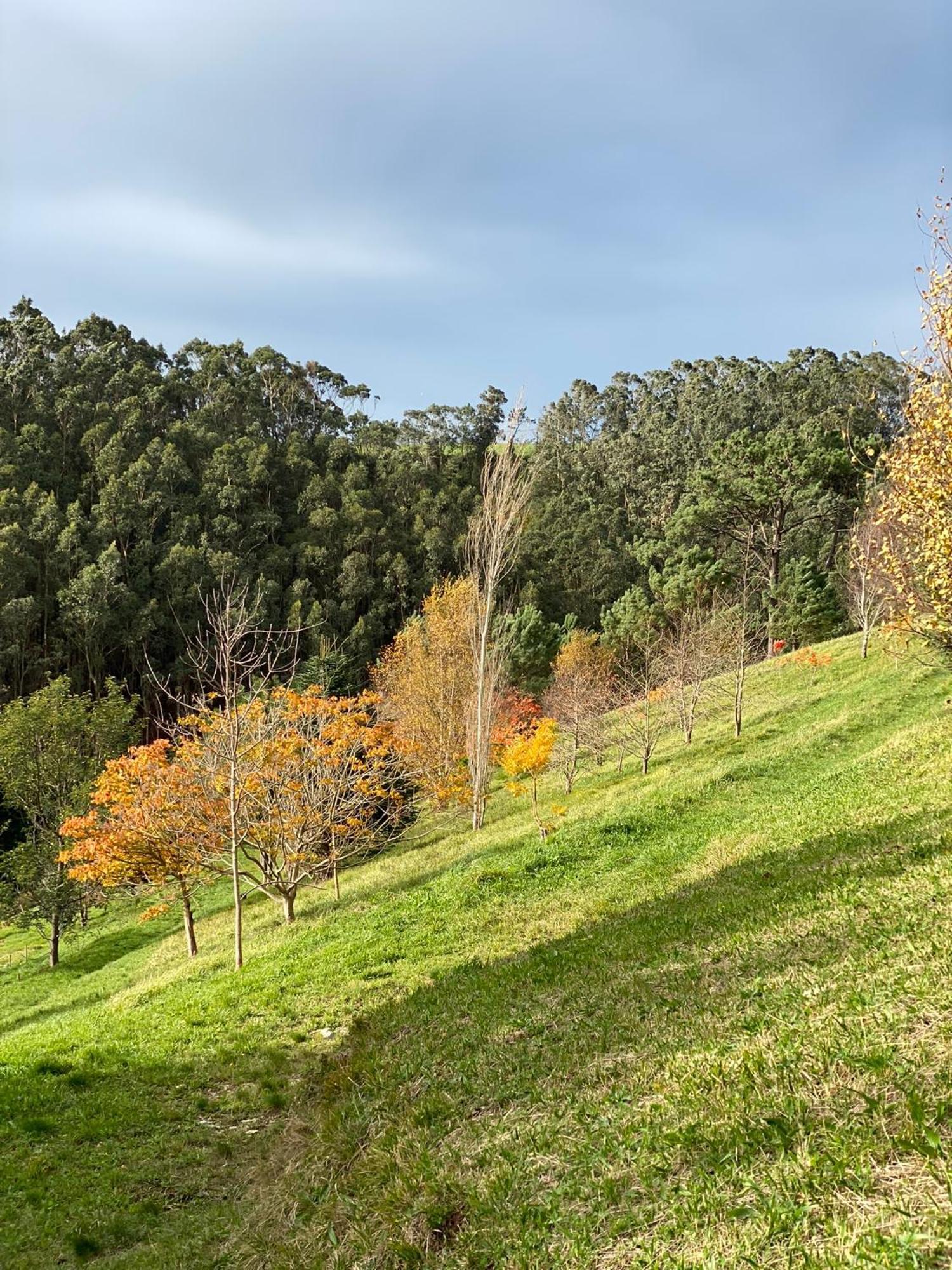 Finca Portizuelo Luarca Exteriör bild