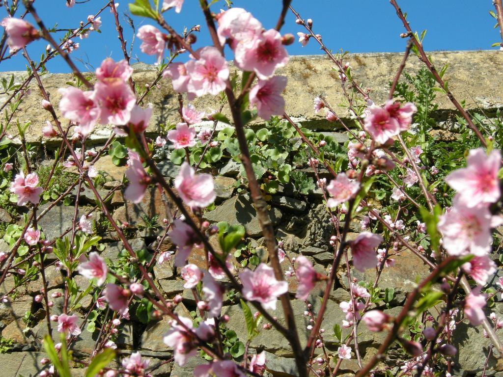 Finca Portizuelo Luarca Exteriör bild